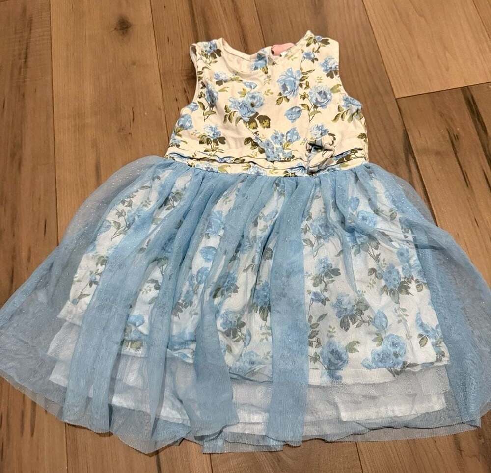 Little Lass Blue Floral Tulle Dress